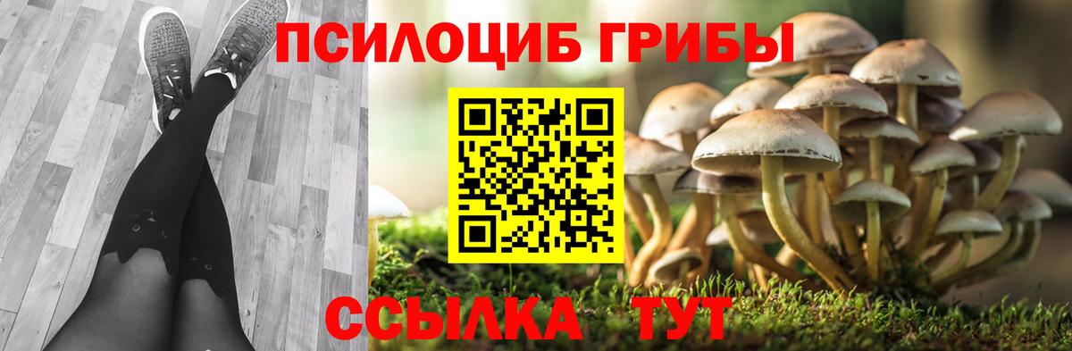 Галлюциногенные грибы Cubensis  Вход с VPN  Новосибирск 