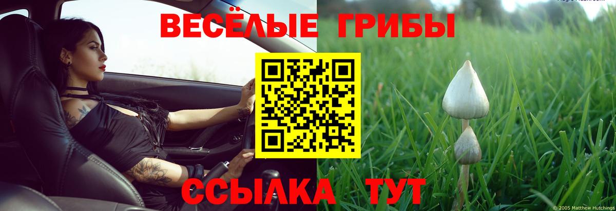 Псилоцибиновые грибы мухоморы Новосибирск