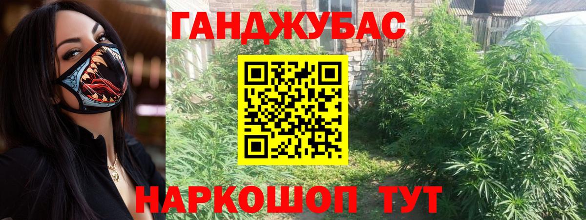 Канабис сатива Новосибирск